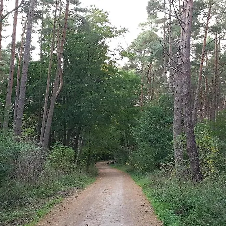 Arcada Lodge Jarosławiec