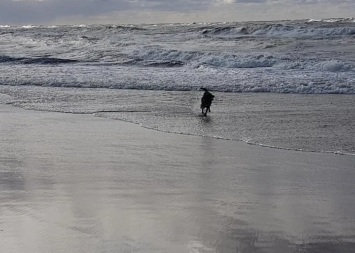 Lodge Arcada Jarosławiec